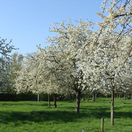 Aan het Singelhof - Bellefleur*** met sunshower en tuin Villa Sint-Truiden Buitenkant foto