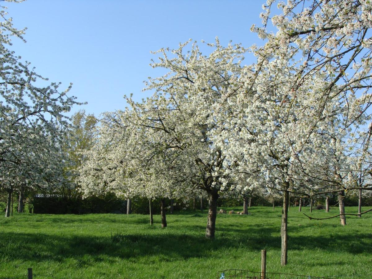 Aan het Singelhof - Bellefleur*** met sunshower en tuin Villa Sint-Truiden Buitenkant foto